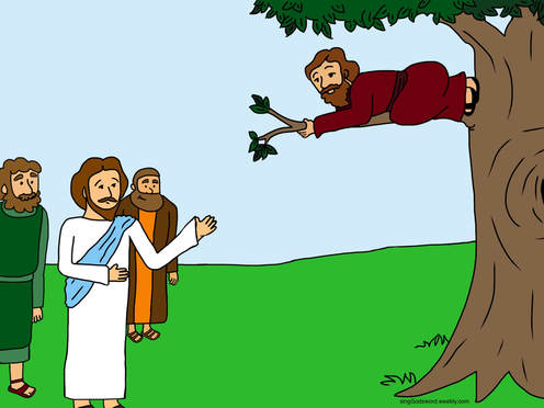Free Zacchaeus bible class material for kids. I new song, coloring sheet, teacher worksheet, and craft. singGodsword.weebly.com